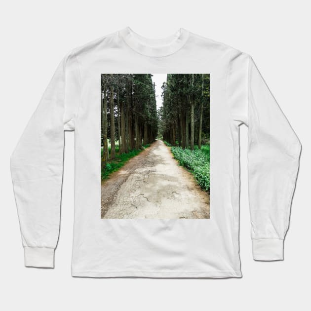 Walk in the woods Long Sleeve T-Shirt by GRKiT